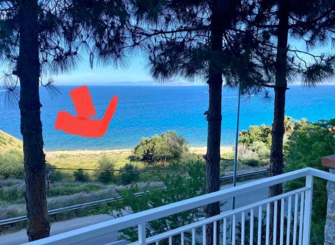 Villa'S Apartment On The Beach, Swimming Pool A/C باليرمو المظهر الخارجي الصورة